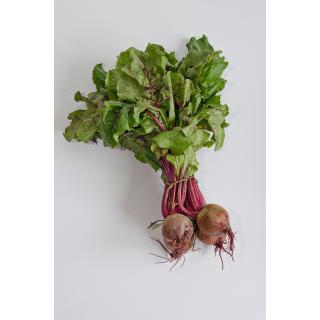 Rote Bete mit Grün